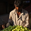 Au marché d'Udaïpur